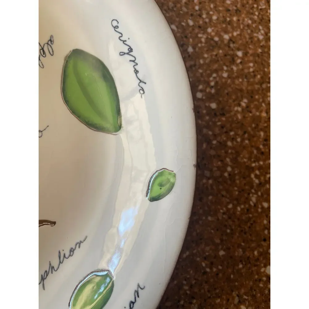 Pottery barn, olive print serving bowl 13 inch